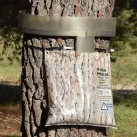 Eco piège chenilleswebp